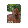 Load image into Gallery viewer, Elevated Rectangular Magnet
