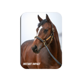 Load image into Gallery viewer, Instant Impact Rectangular Magnet
