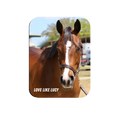 Load image into Gallery viewer, Love Like Lucy Rectangular Magnet
