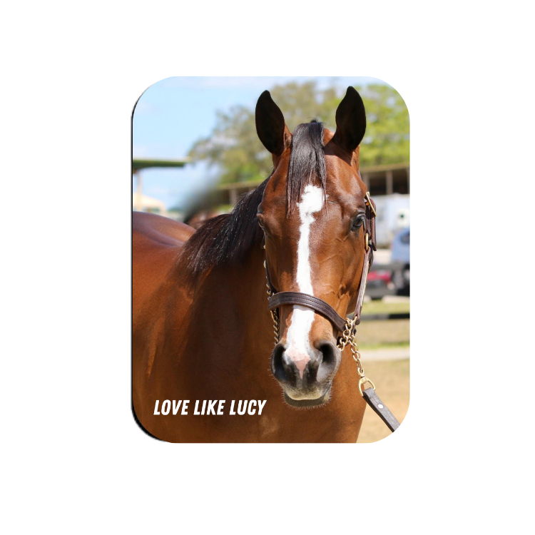 Love Like Lucy Rectangular Magnet