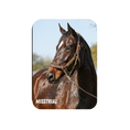 Load image into Gallery viewer, Misstrial Rectangular Magnet
