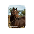 Load image into Gallery viewer, Madame Secretary Rectangular Magnet
