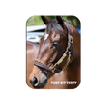 Load image into Gallery viewer, Trust but Verify Rectangular Magnet
