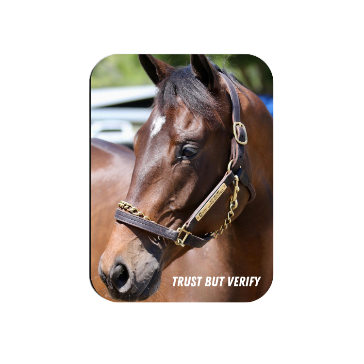Trust but Verify Rectangular Magnet