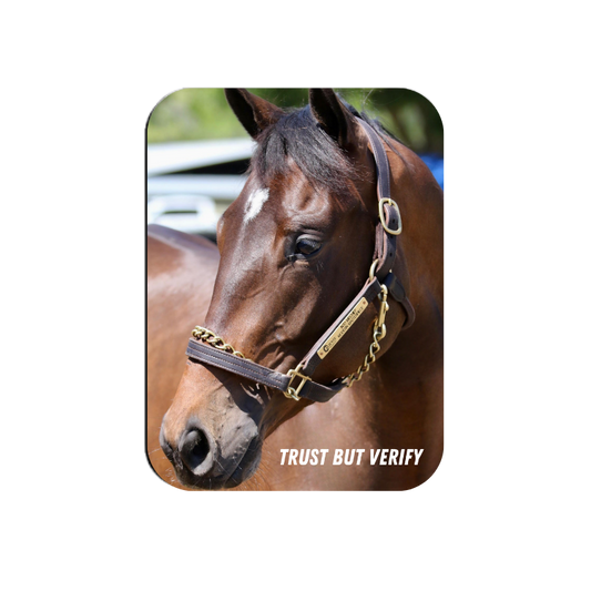Trust but Verify Rectangular Magnet
