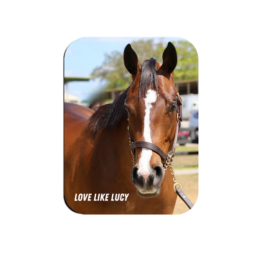 Love Like Lucy Rectangular Magnet