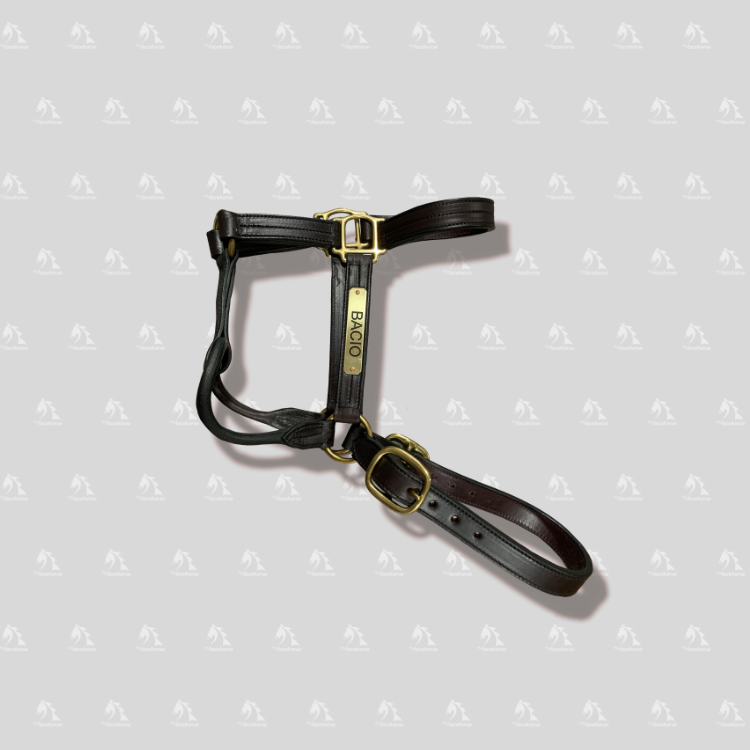 Bacio Custom Halter