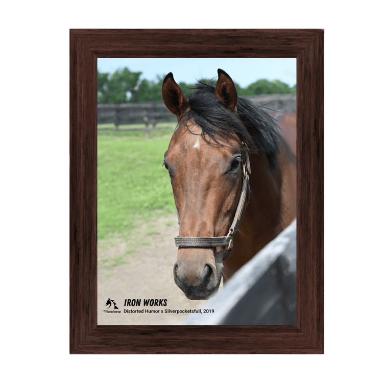 Iron Works Photo - Portrait