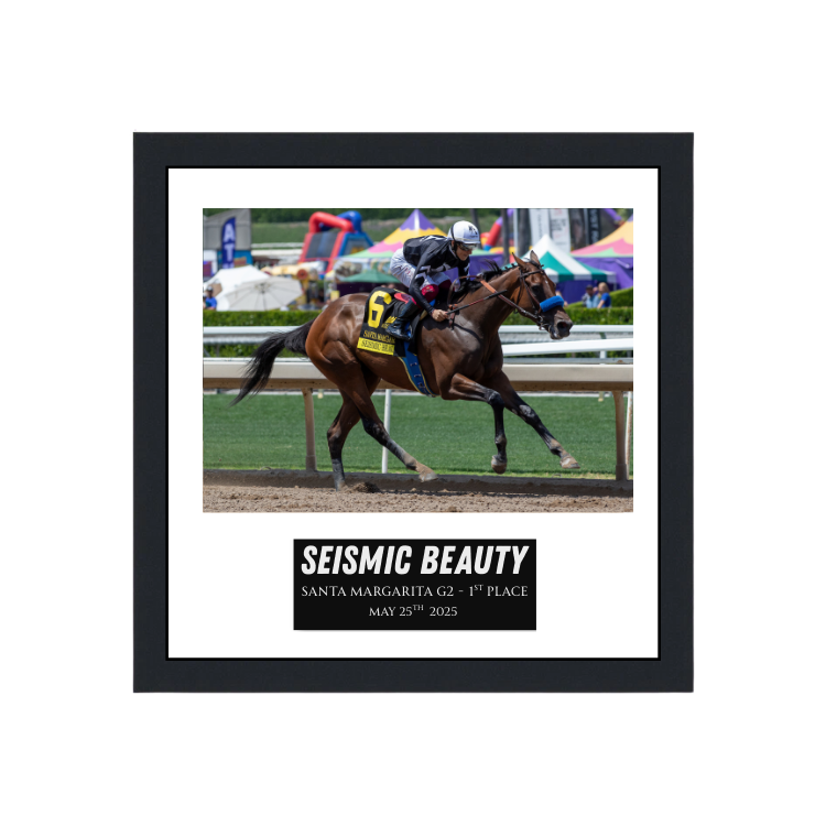 Seismic Beauty - Santa Margarita G2 Photo Frame