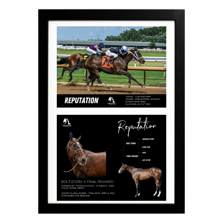 Reputation - Custom Win Photo / Owner Photo Collage