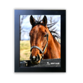 Load image into Gallery viewer, Rosie's Alibi Stable Portrait
