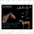 Load image into Gallery viewer, Sam Houston Racing Club - Onthethirstyside Owner Photo
