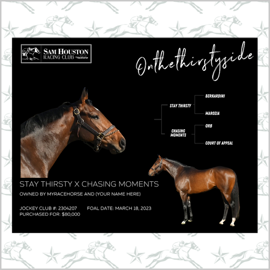 Sam Houston Racing Club - Onthethirstyside Owner Photo