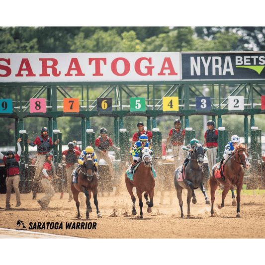 Saratoga Warrior Gate Photo