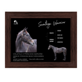 Load image into Gallery viewer, Saratoga Warrior Owner Photo
