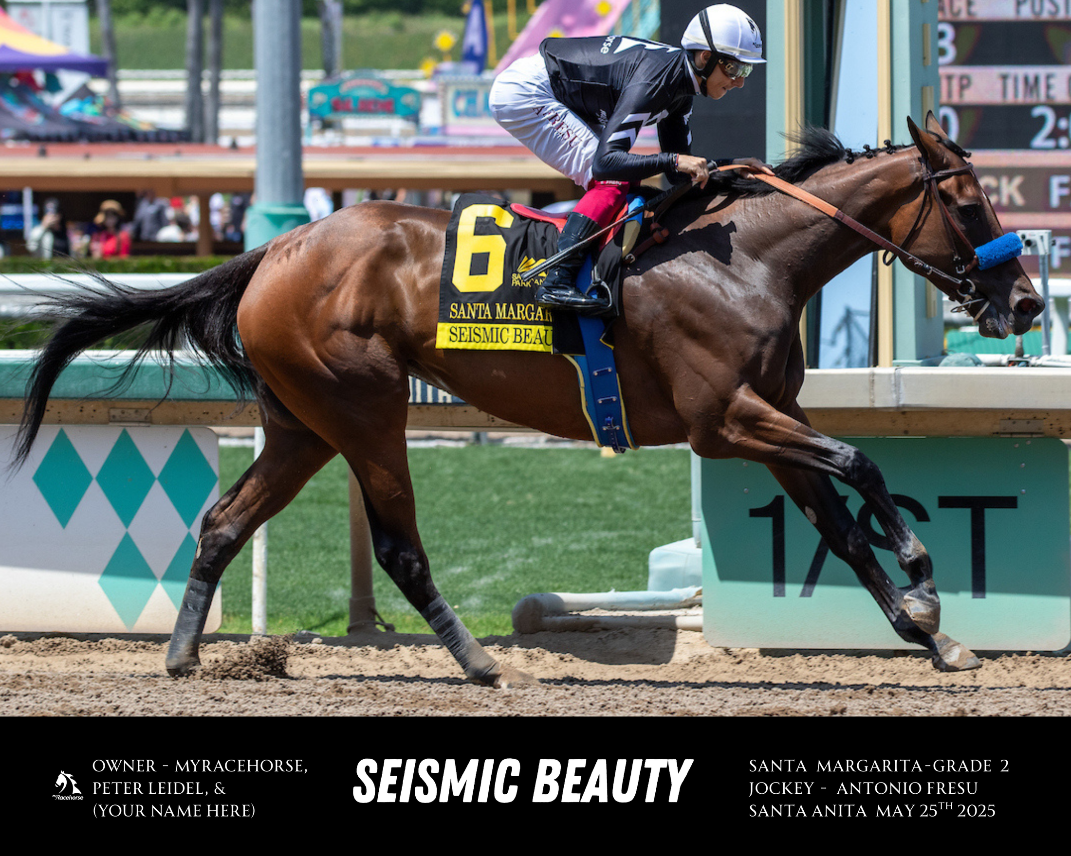 Seismic Beauty Custom Win Photo #3 - Santa Margarita-G2