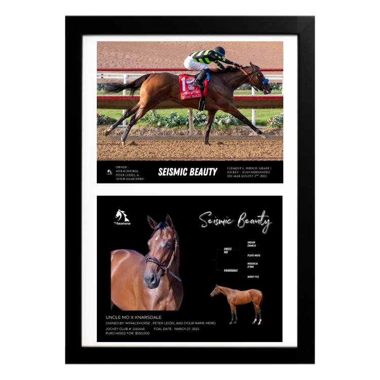 Seismic Beauty Clement L. Hirsch Custom Win Photo / Owner Photo Collage