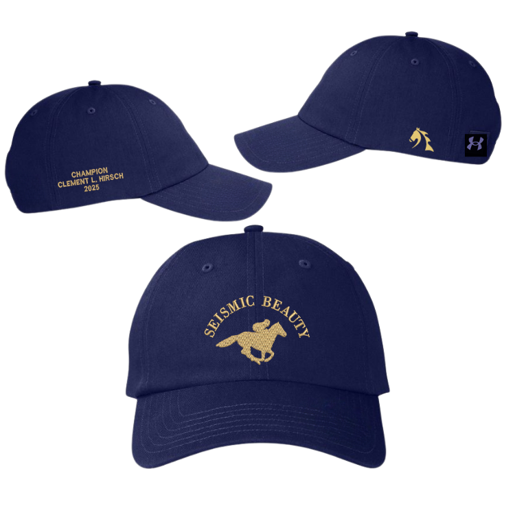 Seismic Beauty Clement L. Hirsch - Under Armour Relaxed Cap