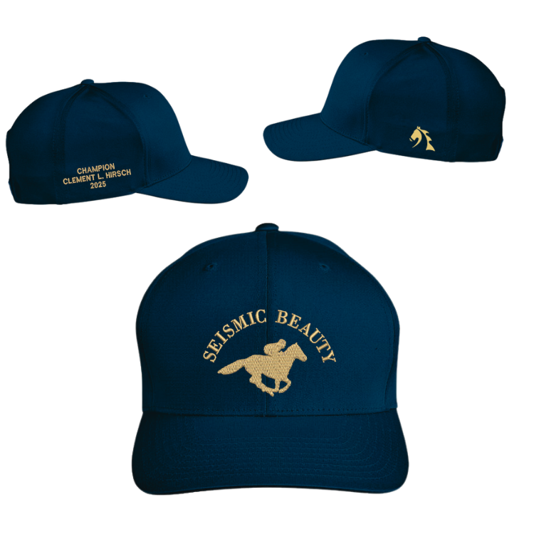 Seismic Beauty Clement L. Hirsch - Velocity Performance Hat