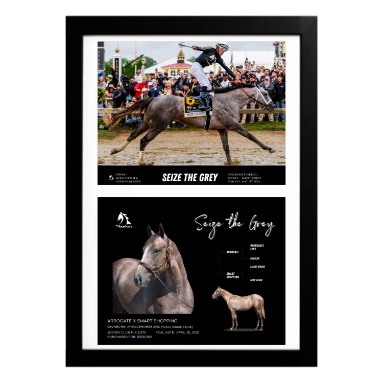 Seize the Grey - Custom Preakness Stakes Win Photo / Owner Photo Collage