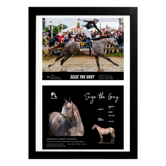 Seize the Grey - Custom Preakness Stakes Win Photo / Owner Photo Collage