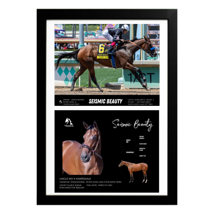 Seismic Beauty Santa Margarita Custom Win Photo / Owner Photo Collage