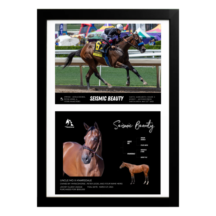 Seismic Beauty Santa Margarita Custom Win Photo / Owner Photo Collage