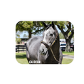 Load image into Gallery viewer, Caldera Rectangular Magnet
