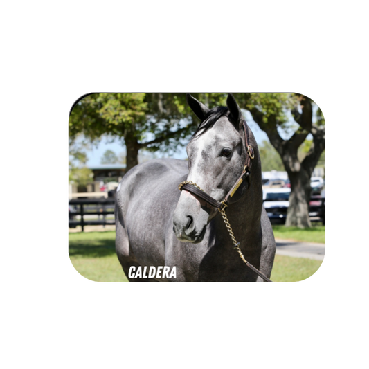 Caldera Rectangular Magnet