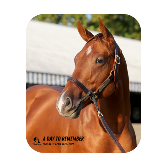 A Day to Remember Mouse Pad