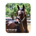Load image into Gallery viewer, My Eyes On You Mouse Pad
