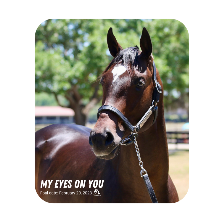 My Eyes On You Mouse Pad