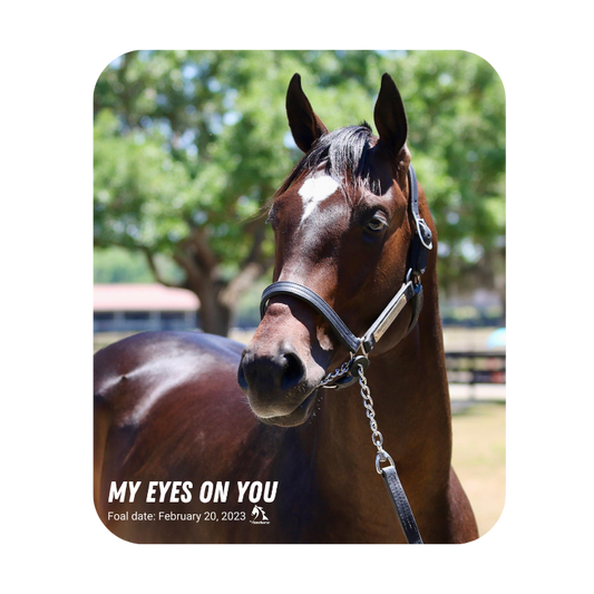 My Eyes On You Mouse Pad