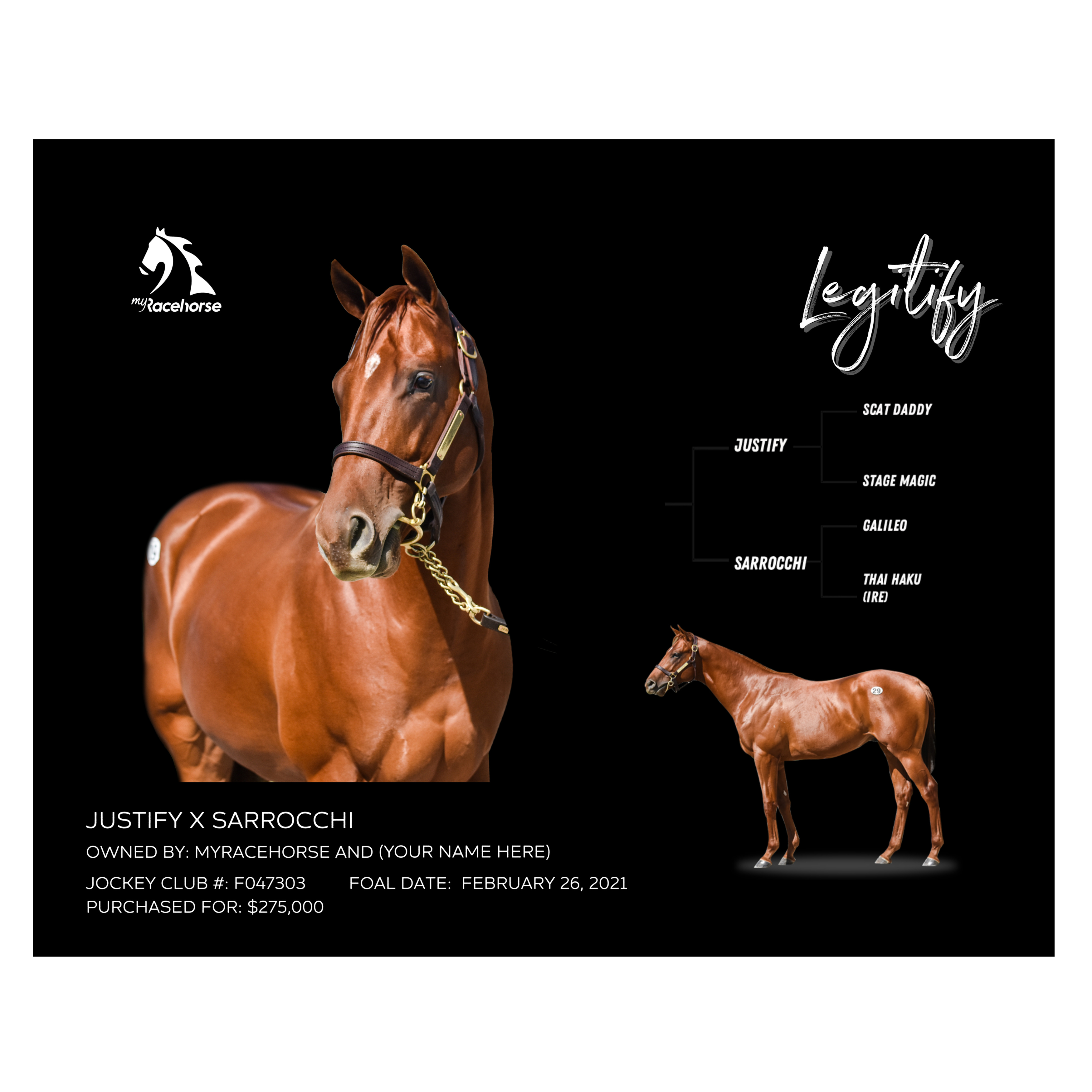 Legitify Owner Photo – MyRacehorse Shop