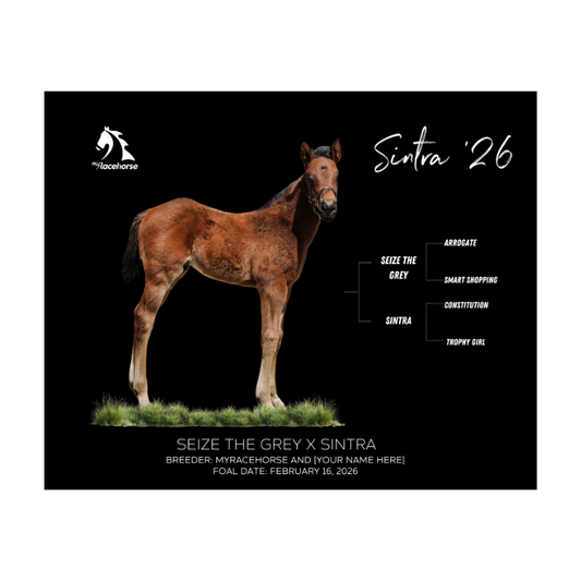 Seize the Grey X Sintra '26 - Breeder's Photo