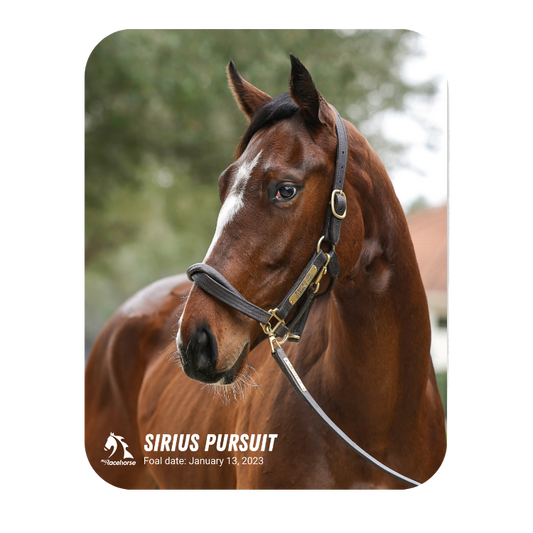 Sirius Pursuit Mouse Pad