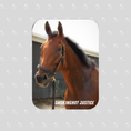 Load image into Gallery viewer, Smokinghot Justice Rectangular Magnet
