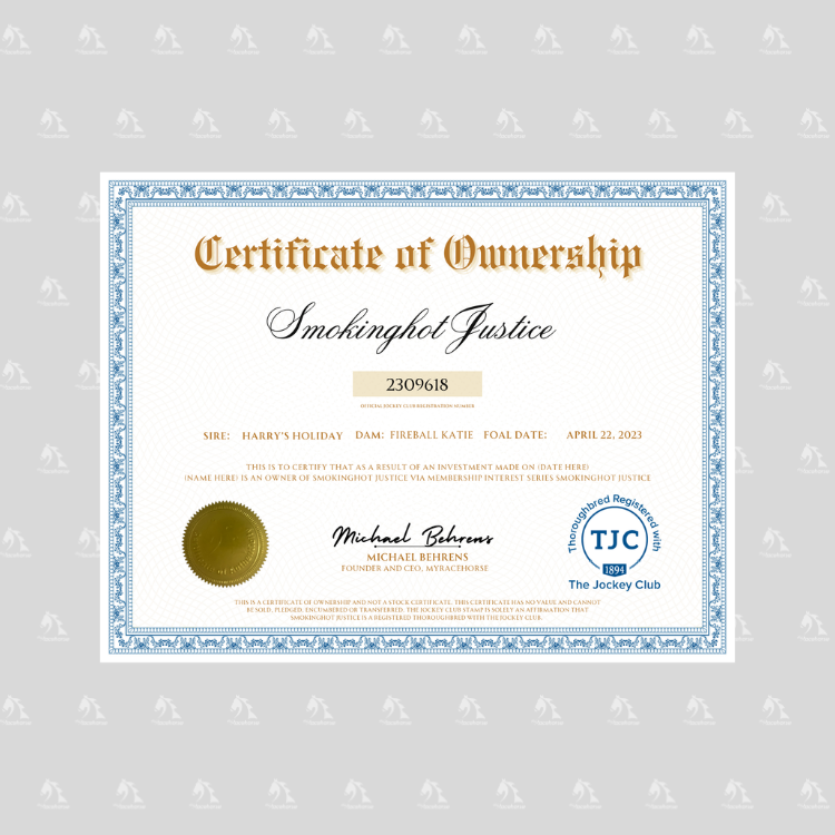 Smokinghot Justice Certificate of Ownership