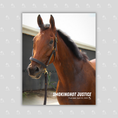 Load image into Gallery viewer, Smokinghot Justice Portrait Photo
