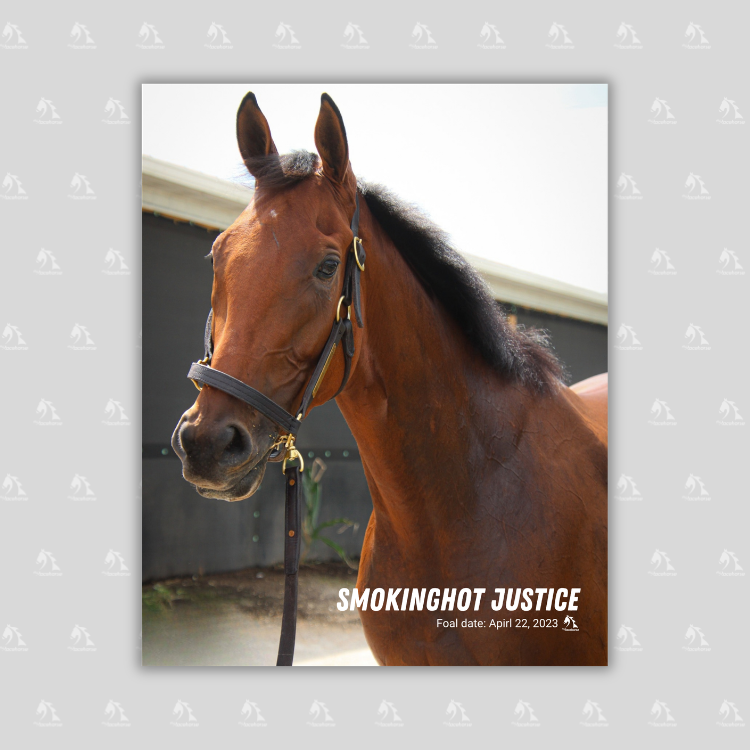 Smokinghot Justice Portrait Photo