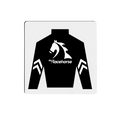 Load image into Gallery viewer, MyRacehorse Square Magnet
