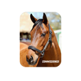 Load image into Gallery viewer, Commissioned Rectangular Magnet
