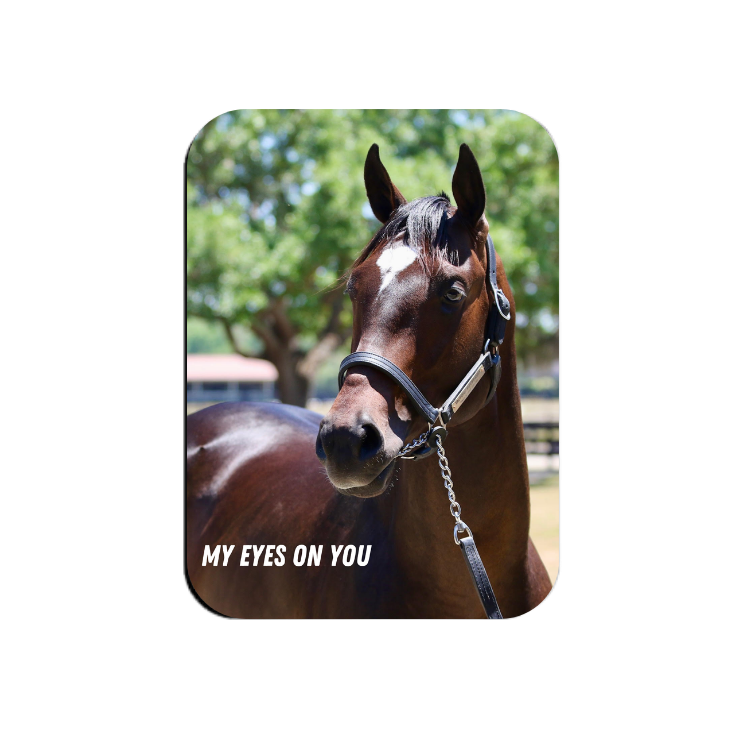 My Eyes on You Rectangular Magnet