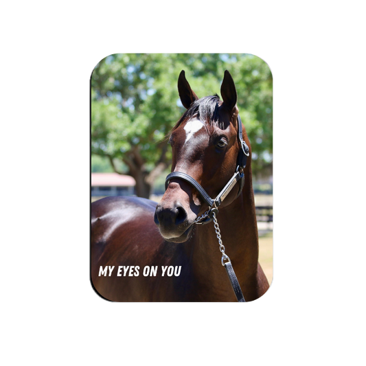 My Eyes on You Rectangular Magnet