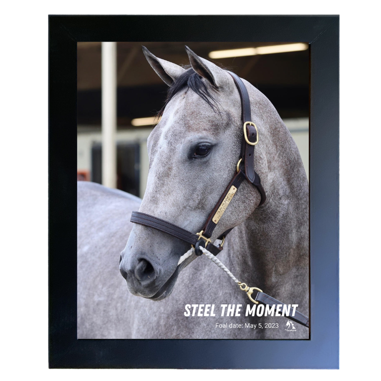 Steel the Moment Portrait Photo