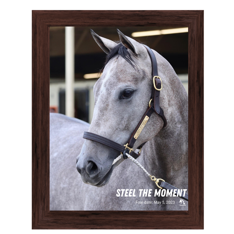 Steel the Moment Portrait Photo