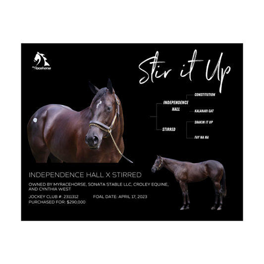 Stir it Up Owner Photo