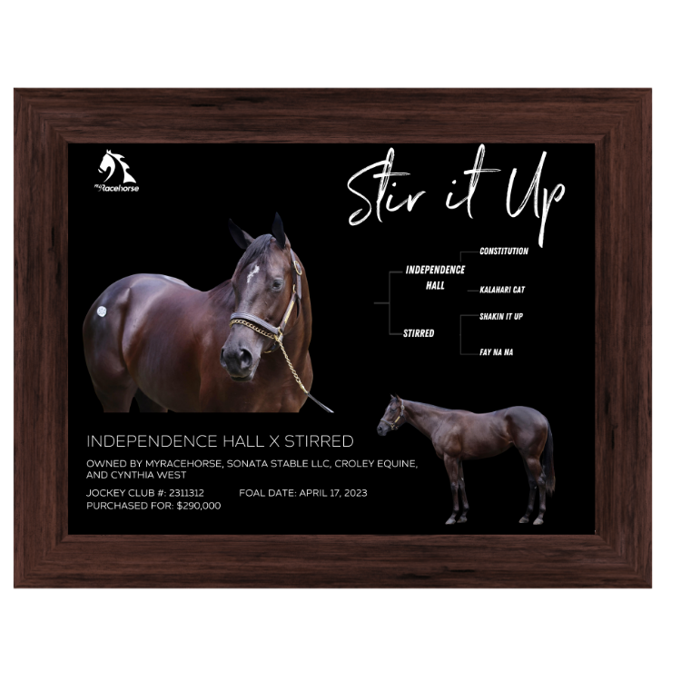 Stir it Up Owner Photo