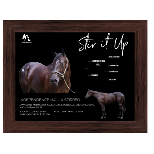 Stir it Up Owner Photo