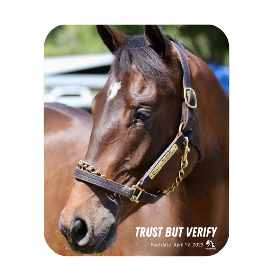 Trust but Verify Mouse Pad